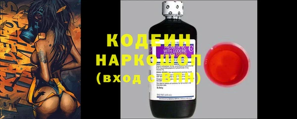 крисы Ладушкин