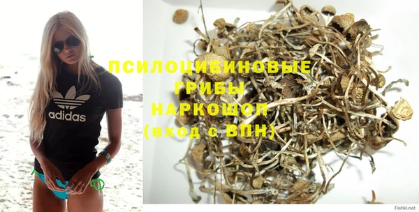 амф Липки