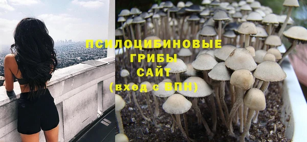 крисы Ладушкин