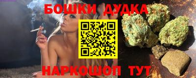 крисы Северобайкальск