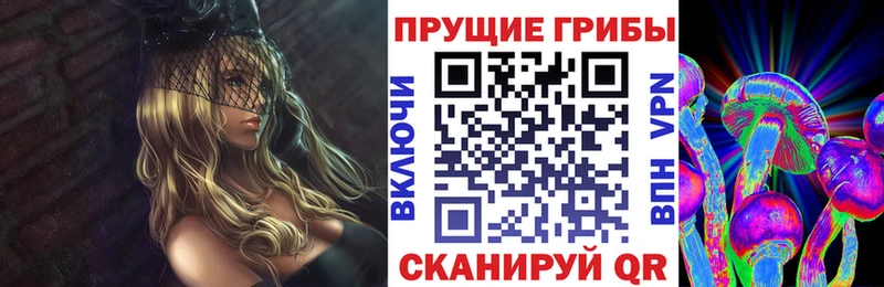 где купить наркоту Черемхово Галлюциногенные грибы Psilocybine cubensis