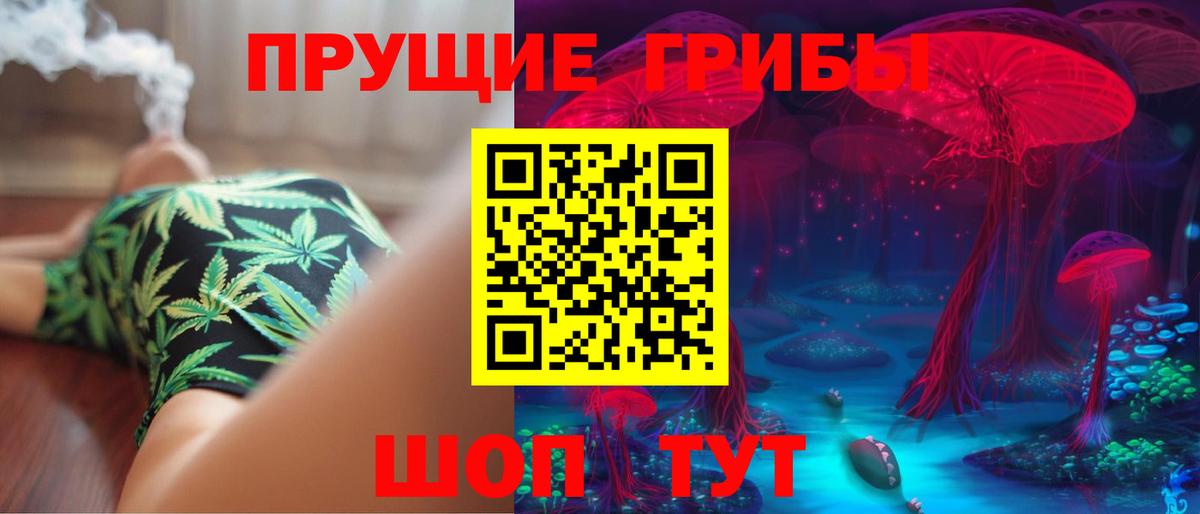 Черемхово  Псилоцибиновые грибы GOLDEN TEACHER  Вход с VPN  Галлюциногенные грибы Psilocybe 